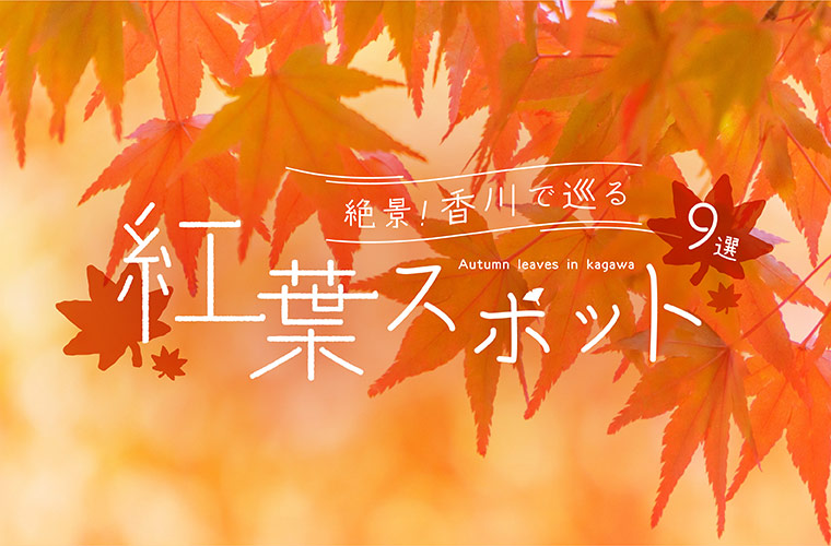 香川県の紅葉おすすめスポット9選！見ごろやライトアップ情報も(2023)