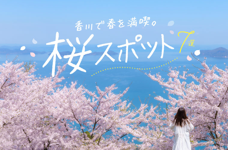 【香川県】花見やピクニックに♪おすすめ桜スポット7選！見ごろやライトアップ情報も(2024)